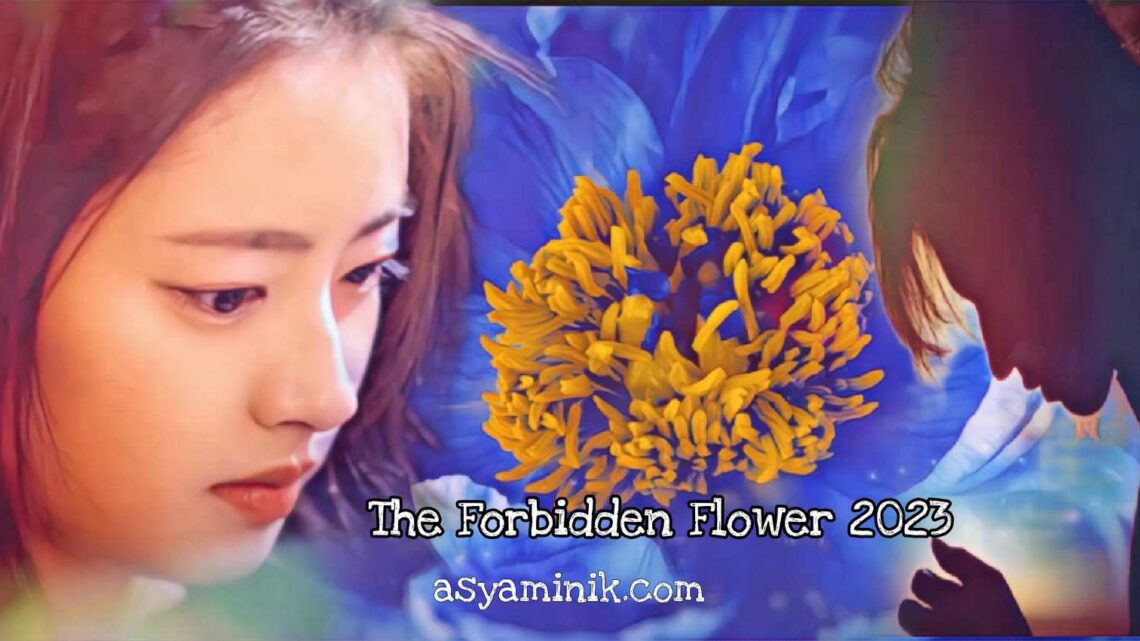 The Forbidden Flower 16.Bölüm