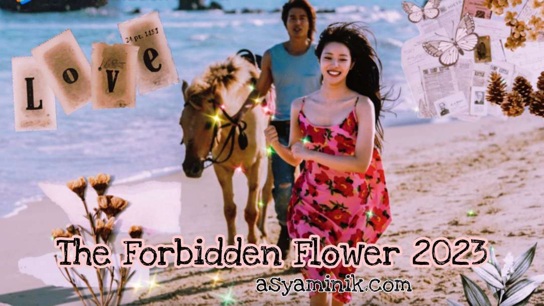 The Forbidden Flower 11.Bölüm