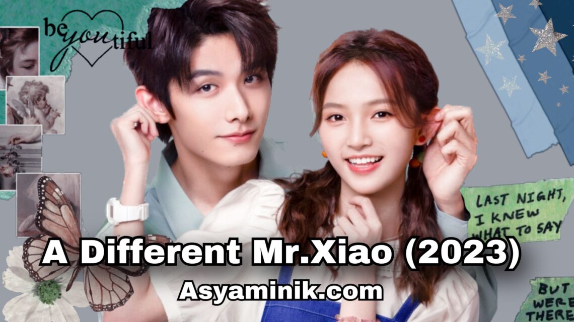 A Different Mr. Xiao 20.Bölüm
