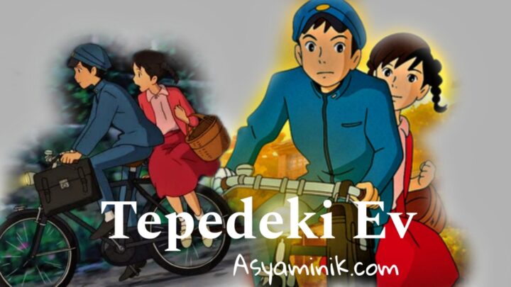 Tepedeki Ev 2011